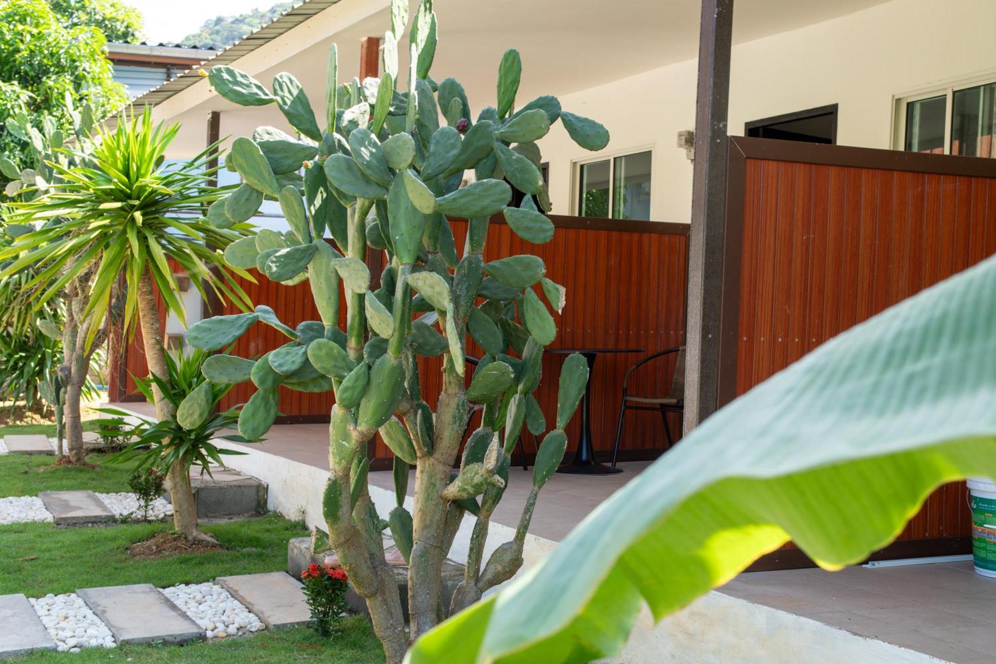 Chill Out Resort Ko Lanta Exterior foto